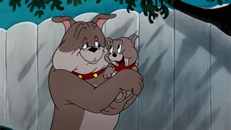 name of dog in tom and jerry|More.